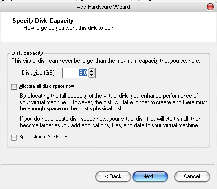 VMware Disk Capacity Allocation